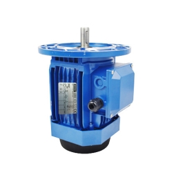 Động cơ mặt bích CHUANGNUO