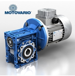 Motor giảm tốc cốt âm