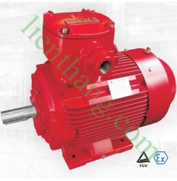 Động cơ phòng chóng cháy nổ