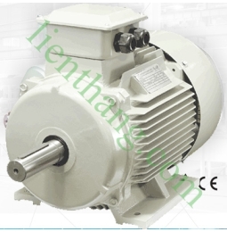 Động cơ không đồng bộ 3 pha