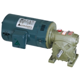 DC motor with worm gear reducer (DW type)