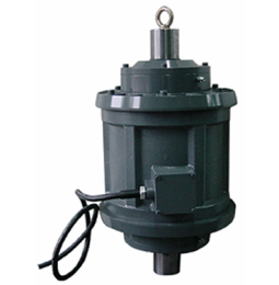 Động cơ rung 4 Pole -SW