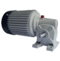 Động cơ giảm tốc bánh răng LK-SMW