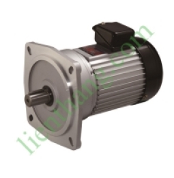 Động cơ giảm tốc Luyang