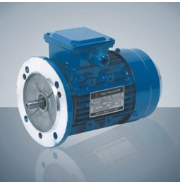 Động cơ 3 pha B5