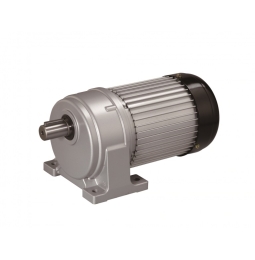 Motor giảm tốc Luyang 