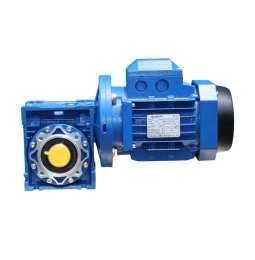 RV Series Worm Gearbox With Motor