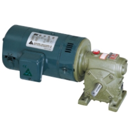 DC motor with worm gear reducer (DW type)