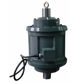 Động cơ rung 4 Pole -SW
