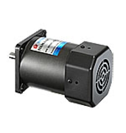 Động cơ mini induction_motor