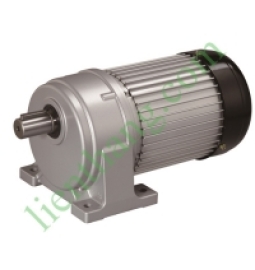 Động cơ giảm tốc Luyang