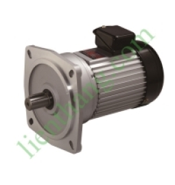 Động cơ giảm tốc Luyang