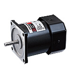 Động cơ AC Mini